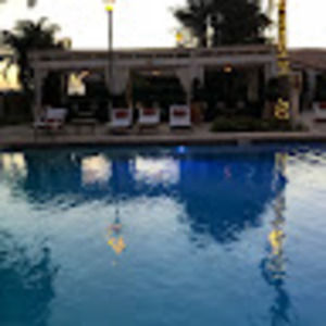 Meet your Posher, Violet